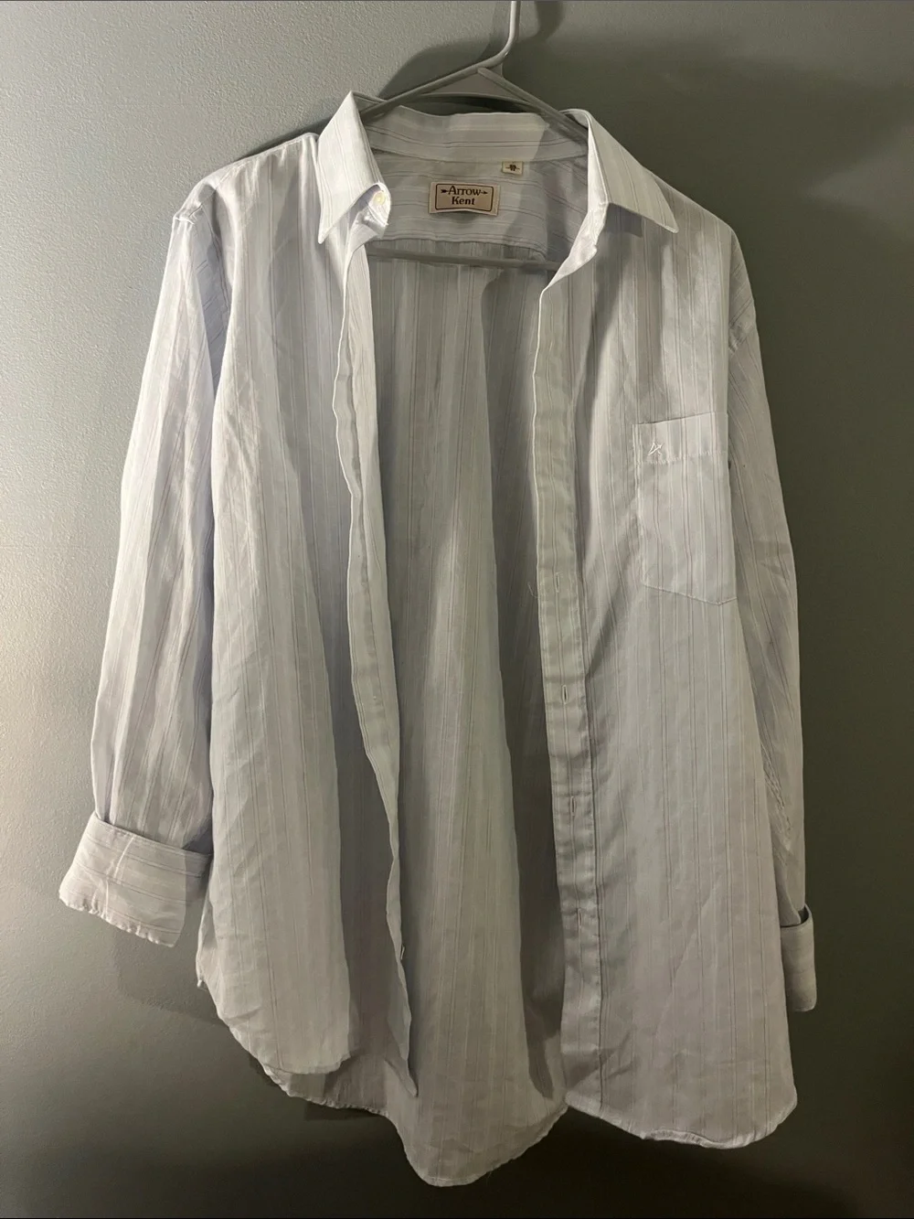 Arrow Men's Pale Blue Stripe Casual Button-Down Shirt